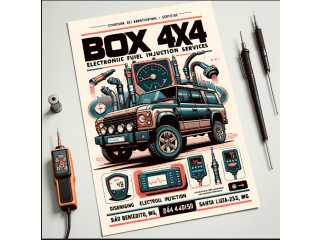 Box 4x4 (31) 3642-9306 Injeção Eletrônica 4x4 no São Benedito / Santa Luzia - MG